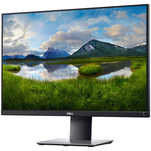 Dell 24